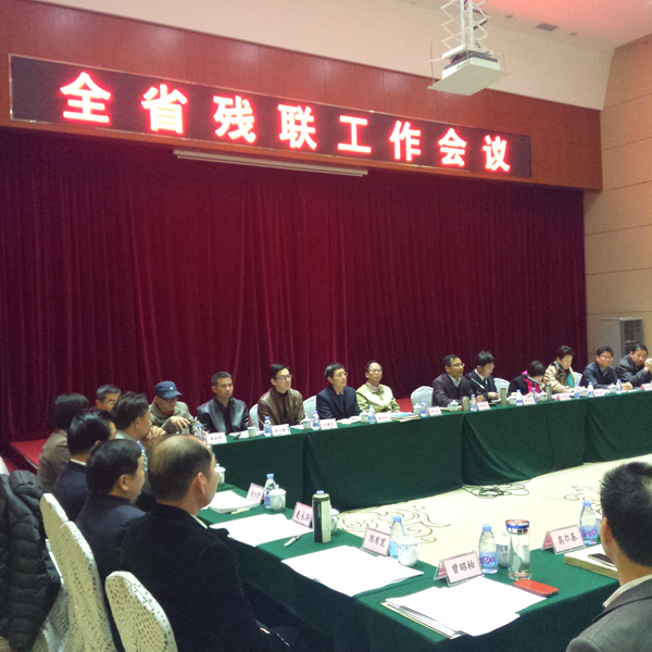 图为会议现场