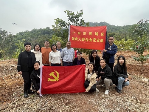 活动照片（植树现场）